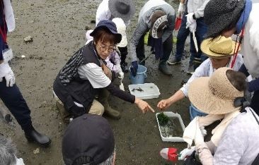 谷津干潟の生き物について説明を受ける受講生