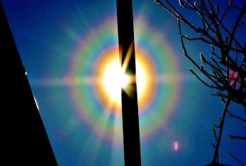 太陽の周囲に虹色の環が見える花粉光環を写した写真