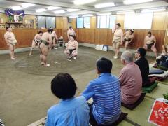 阿武松部屋の土俵で練習をしている力士の方々、見学に訪れた方々が右側の畳が敷かれた場所で座って見学をしている写真