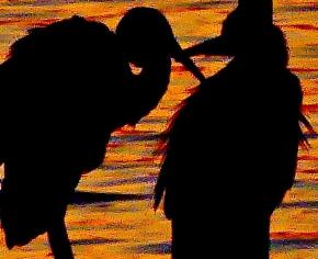 オレンジ色に輝いている水面をバックに2羽の野鳥のシルエットが写っている写真