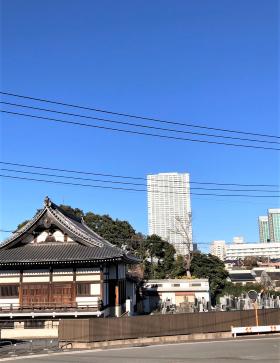 澄んだ青空の下にある東漸寺のお堂とタワーマンションを写した写真