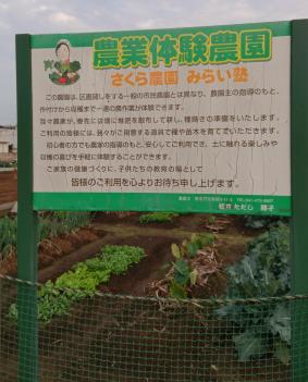 畑の手前に立てられた「農業体験農園 さくら農園 みらい塾」について書かれてある案内板の写真