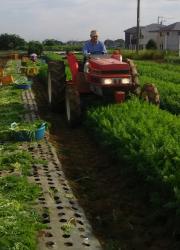 トラクターで作物を収穫している織戸さんの写真