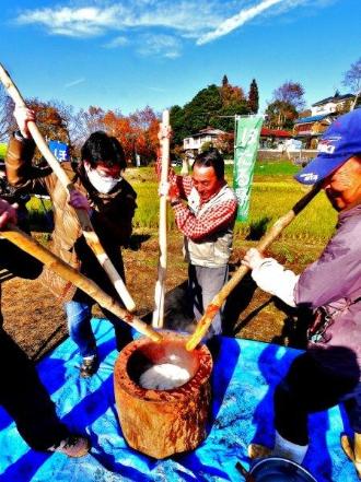 千本杵を使って餅つきを行うNORA会員の方々の写真