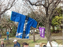 桜の枝に法被が飾られている写真