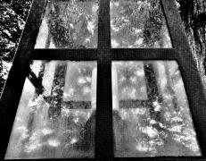 ガラス窓から外の景色を写したモノクロ写真