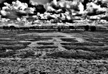 地面がひび割れ乾燥している様子を写した鷺沼の白黒風景写真