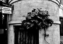 谷津の街並みにある丸みを帯びた建物の入り口付近を写した白黒写真