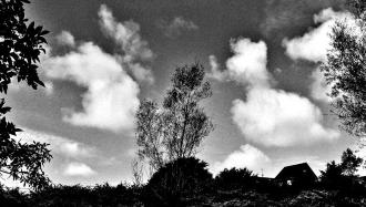 樹々と、空に浮かぶ雲を写した実籾本郷の白黒写真風景写真