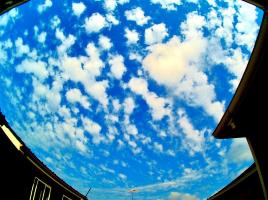 屋根の合間から見えるウロコ雲を写した写真