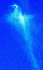 青空に鳳凰のような形をした雲が浮かび上がっている写真