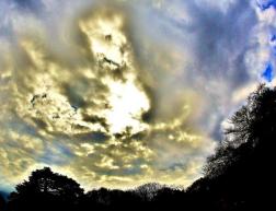 薄い雲が太陽の光で金色に輝いている写真