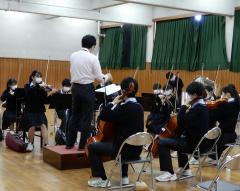 チェロやバイオリンを演奏している津田沼高校のオーケストラ部の写真