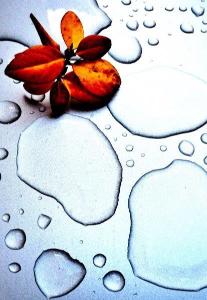 シルバーの色をした表面の上にある大小複数の水滴と赤く紅葉した葉が置かれている写真
