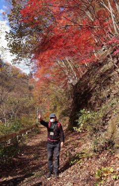 森の中の歩道でリュックを背負った男性が右手を上にあげている写真