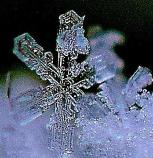 氷の結晶をアップで写した写真