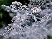 きれいな氷の結晶を写した写真