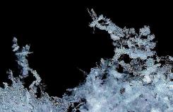 氷の粒が連なっている幻想的な写真
