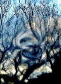 ピントがずれた窓の向こうの樹木の中央に8の字の様な模様の描写が撮影された写真