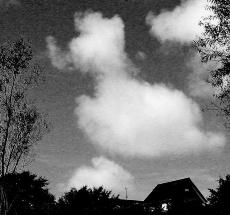 空に浮かんだ雲の形が大型犬に見えるモノクロ写真