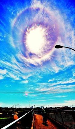 綺麗な青空に筋雲が浮かび、七色に輝いている円形の虹が太陽の周りに現れている写真