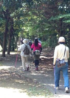 森の中をノルディックウォーキングをしている参加者の人達の写真