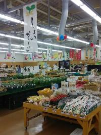 お店の売り場に様々な採れた野菜が沢山販売されている写真