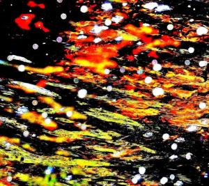 川底に落ちた紅葉で赤くなった水面に光が反射してイルミネーションのように映っている写真