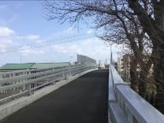 歩道が綺麗に舗装され、向こうまで歩道が通っており、右側には桜の木が何本か立っている鷺沼跨線橋の写真