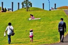 茜浜緑地に遊びに来て歩いている家族の後ろ姿の写真
