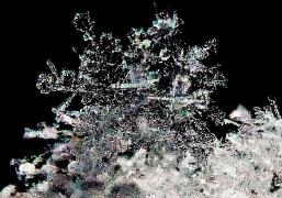拡大した雪の結晶の写真