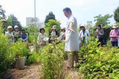 植物の傍に立って説明をしている先生と話を聞いている参加者の写真