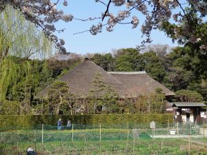 木々に囲まれた実籾本郷公園・旧鴇田家住宅の写真