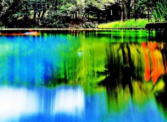 池の水面に、周りの木々が映り、青や緑、黄緑、赤などの綺麗な色が映し出されている写真