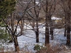 一面に雪がふりつもり、木々の枝にも雪にが薄っすら降り積もっている写真