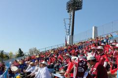 多くの人々で集まった秋季関東地区高等学校野球大会の応援席を写した写真