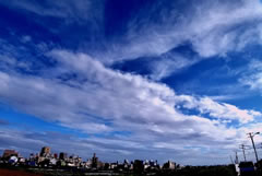 真っ青な青い空に真っ白な雲が交わってい空に広がっている写真
