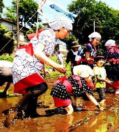 早乙女の衣装を着た親子が田植えを行っている写真