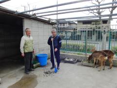 箒を持ってシカ小屋の掃除をしている2人の男性とその横にいる2匹の鹿の写真