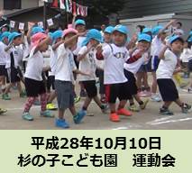 平成28年10月10日杉の子幼稚園 運動会画像
