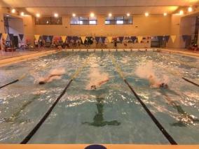 選手たちが自分のコースをクロールで勢いよく泳いでいる水泳大会の様子の写真