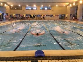 選手たちが自分のコースをバタフライで勢いよく泳いでいる水泳大会の様子の写真