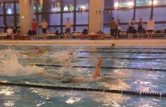 選手たちが自分のコースを水しぶきをあげて勢いよく泳いでいる水泳大会の様子の写真
