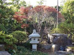 庭園にある紅葉と灯籠の写真