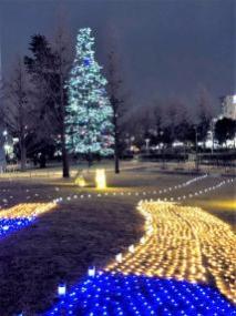 遠くにはイルミネーションで飾られた綺麗なクリスマスツリーが見え、手間の芝生には黄色と青色の電飾で装飾されたアンダーグラウンドイルミネーションが輝いている会場の写真