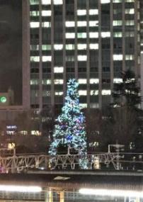 後方に見える高層ビルの前に見えるきれいに装飾され輝いているクリスマスツリーの写真