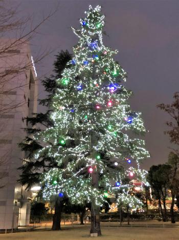 白・赤・青・緑の光で装飾された大きなクリスマスツリーの写真
