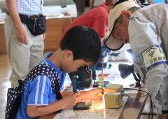 顕微鏡のレンズを除きプランクトンの観察をしている男の子の写真