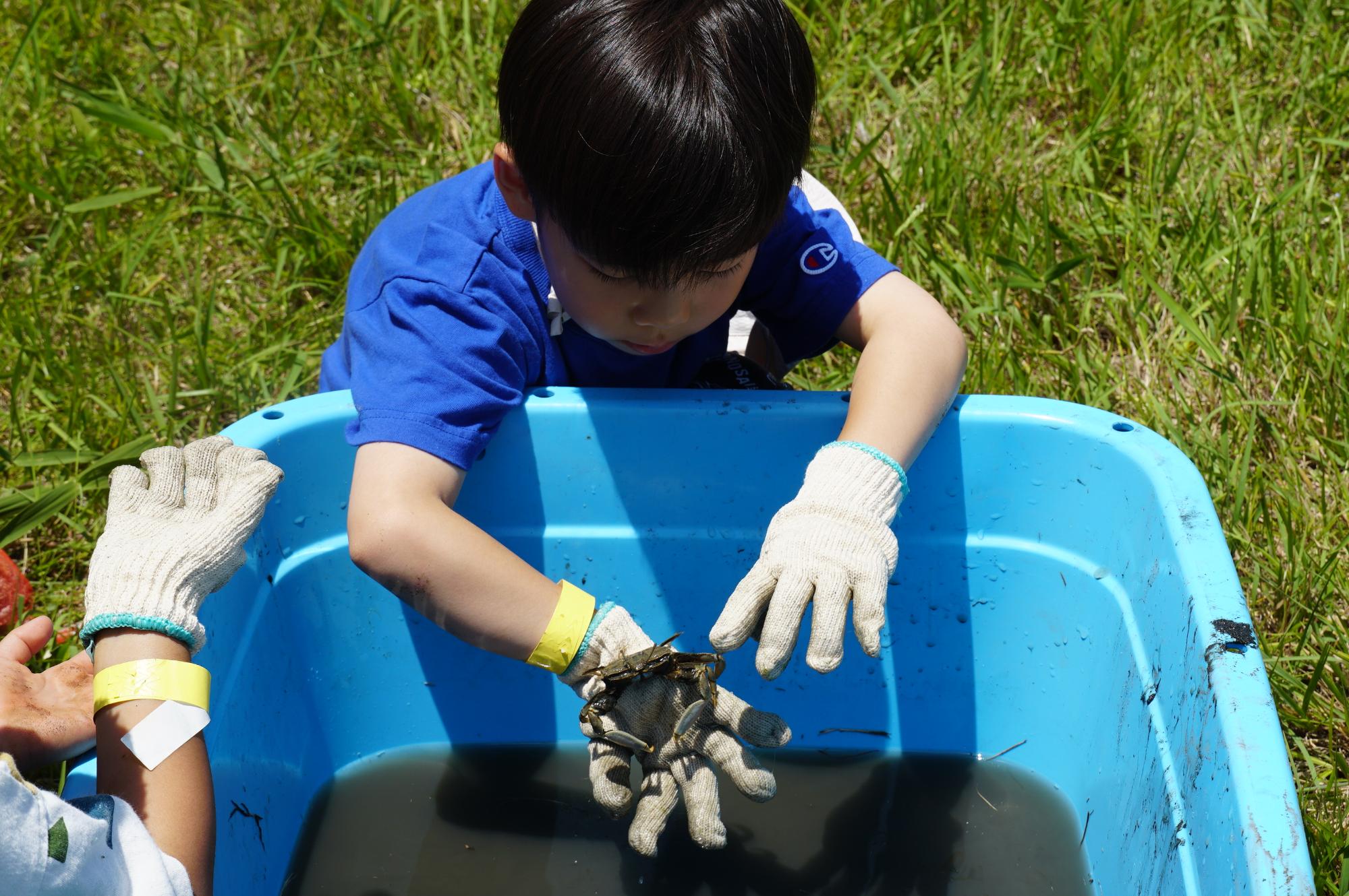 干潟の生き物とのふれあいコーナー