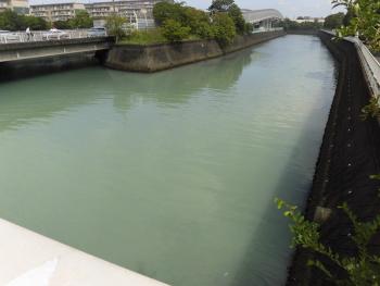 水面が青白く濁って見える青潮発生時の菊田川の写真